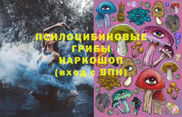 каннабис Дмитров
