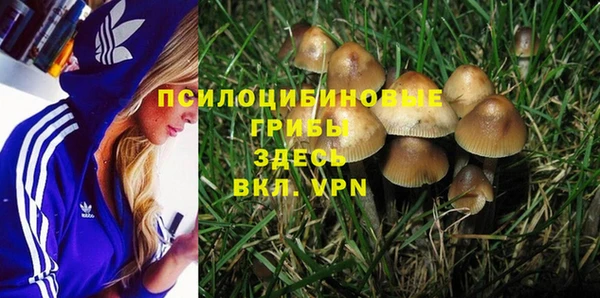 spice Пролетарск
