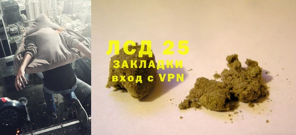 сатива Дмитриев