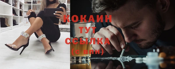 сатива Дмитриев