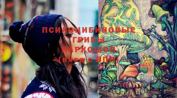 сатива Дмитриев