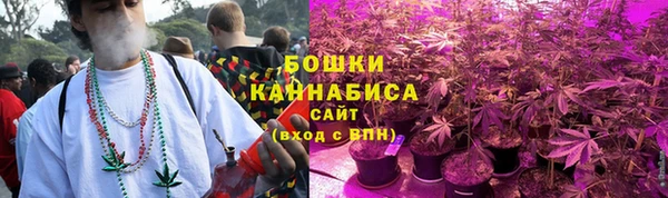 сатива Дмитриев