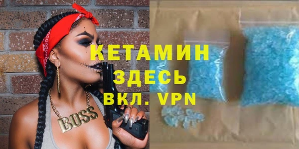 шишки Сосновый Бор