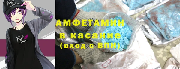 сатива Дмитриев