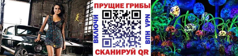 Псилоцибиновые грибы Psilocybine cubensis  Судак 