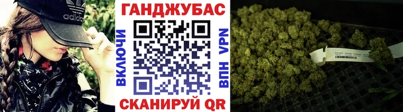Канабис гибрид  Судак 